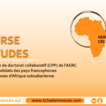 Avis d’appel à candidatures pour les bourses d’études 2024/2025 pour le programme de doctorat collaboratif (CPP) de l’AERC pour les candidats des pays francophones et anglophones d’Afrique subsaharienne