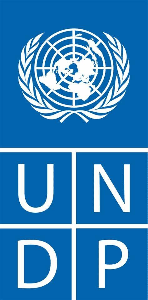 Programme des Nations Unies pour le développement (PNUD) recherche un Stagiaire Infographe & Analyste des données, Goma, République Démocratique du Congo