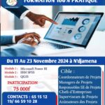 Avis de formation sur les logiciels SPSS, QGIS et POWER BI, N’Djamena, Tchad