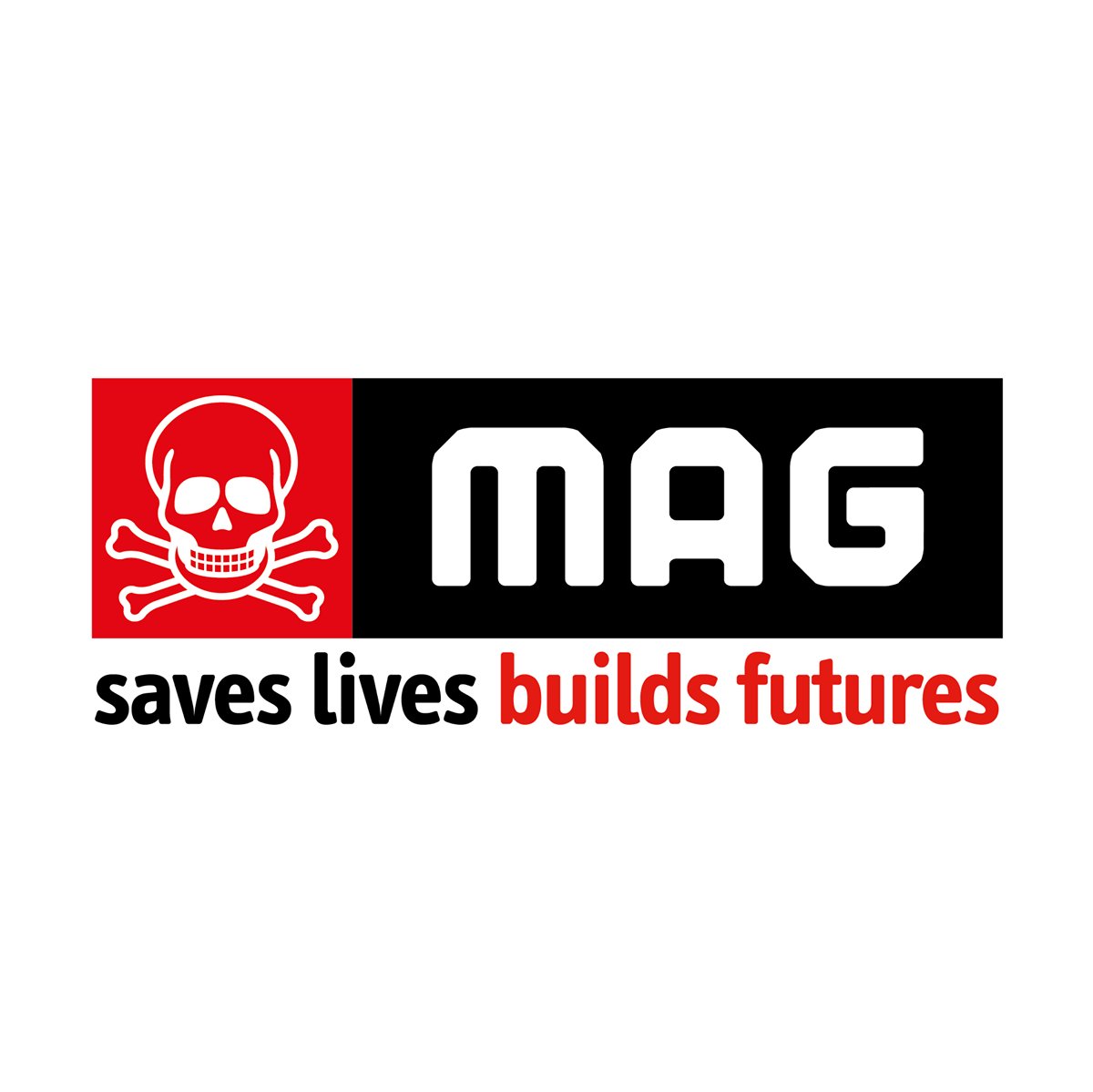 Mines Advisory Group (MAG) recrute un Chargé de Logistique et approvisonnement (H/F), N&rsquo;Djamena, Tchad