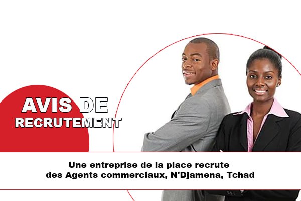 Une entreprise de la place recrute des Agents Commerciaux (H/F), N&rsquo;Djamena, Tchad