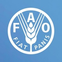 Appel à candidatures : Programme de stages de la FAO pour l’Afrique 2026