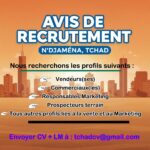 Kirakoo recrute : vendeurs, commerciaux, responsable marketing, prospecteurs de terrain, N&rsquo;Djamena, Tchad