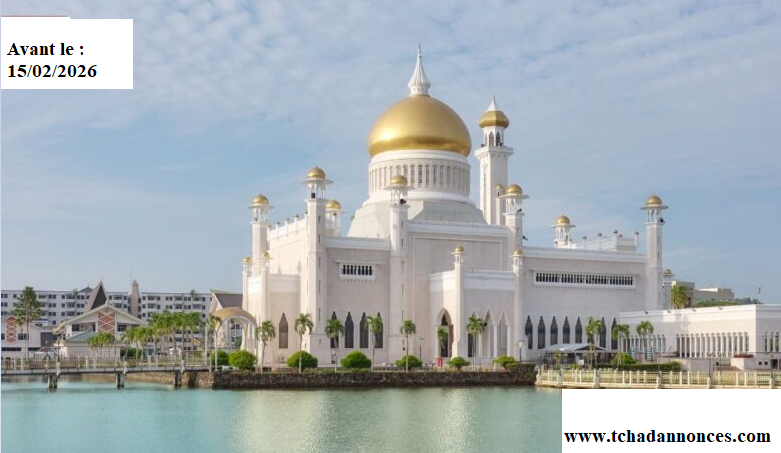 Appel à candidatures pour la Bourse Gouvernement de Brunei Darussalam (BDGS) pour étudiants étrangers