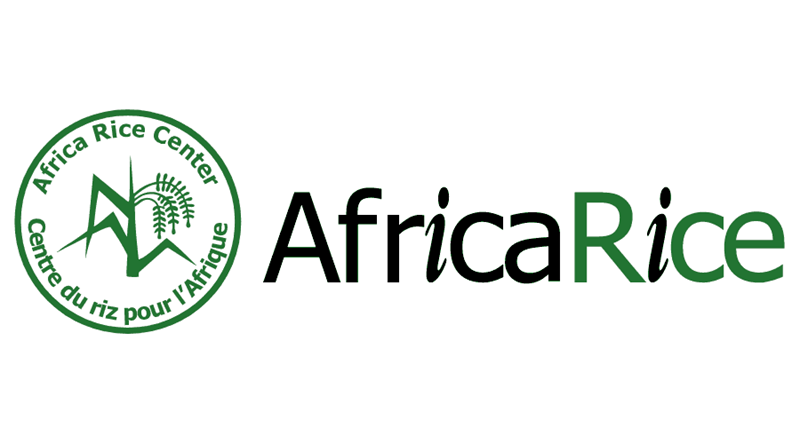 AfricaRice recherche un(e) Stagiaire en Ressources Humaines, Bouaké, Côte d’Ivoire