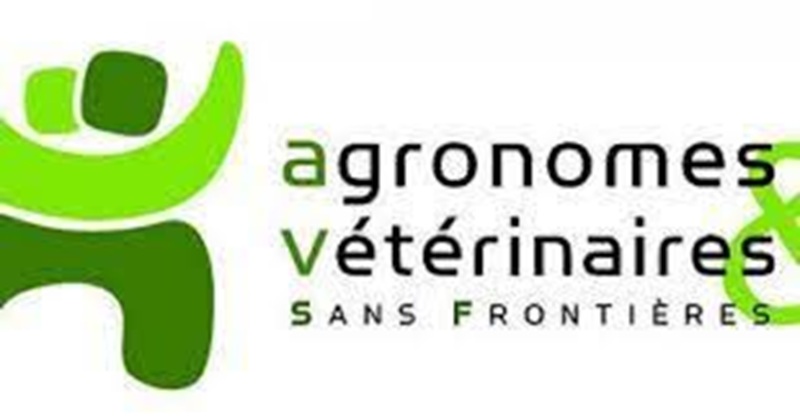 AVSF recrute un Stagiaire Étude de cas dans le territoire d’une coopérative cacaoyère, Côte d&rsquo;Ivoire