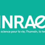 L’Institut national de recherche pour l’agriculture, l’alimentation et l’environnement (INRAE) recrute un doctorant ou une doctorante en sciences sociales de l’environnement ou en agronomie des territoires