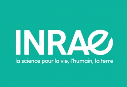 L’Institut National de Recherche pour l’Agriculture, l’Alimentation et l’Environnement (INRAE) lance un appel à candidature pour le recrutement d&rsquo;un chercheur doctorant (H/F) en Science de la terre