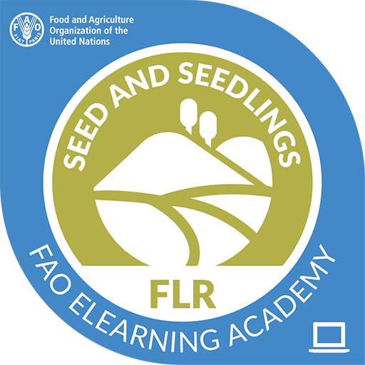 L’Organisation des Nations unies pour l’alimentation et l’agriculture (FAO) offre encore une formation gratuite et certifiante en Planification de l’approvisionnement en semences et en plants pour la restauration des forêts et des paysages, en ligne
