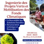 le Cabinet d&rsquo;Etudes, de Formations et de Réalisation des Projets et Programmes SARL (CEFOREP), en partenariat avec le CIFOPMAPE, lance cette session de formation spécialisée en ingénierie des projets verts et stratégies de mobilisation des fonds climatiques, Tchad