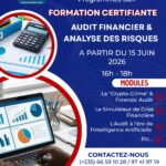 Le Cabinet de Conseils CEFOREP Sarl organise une formation certifiante en audit financier & analyse des risques à l&rsquo;ère numérique, N&rsquo;Djamena, Tchad