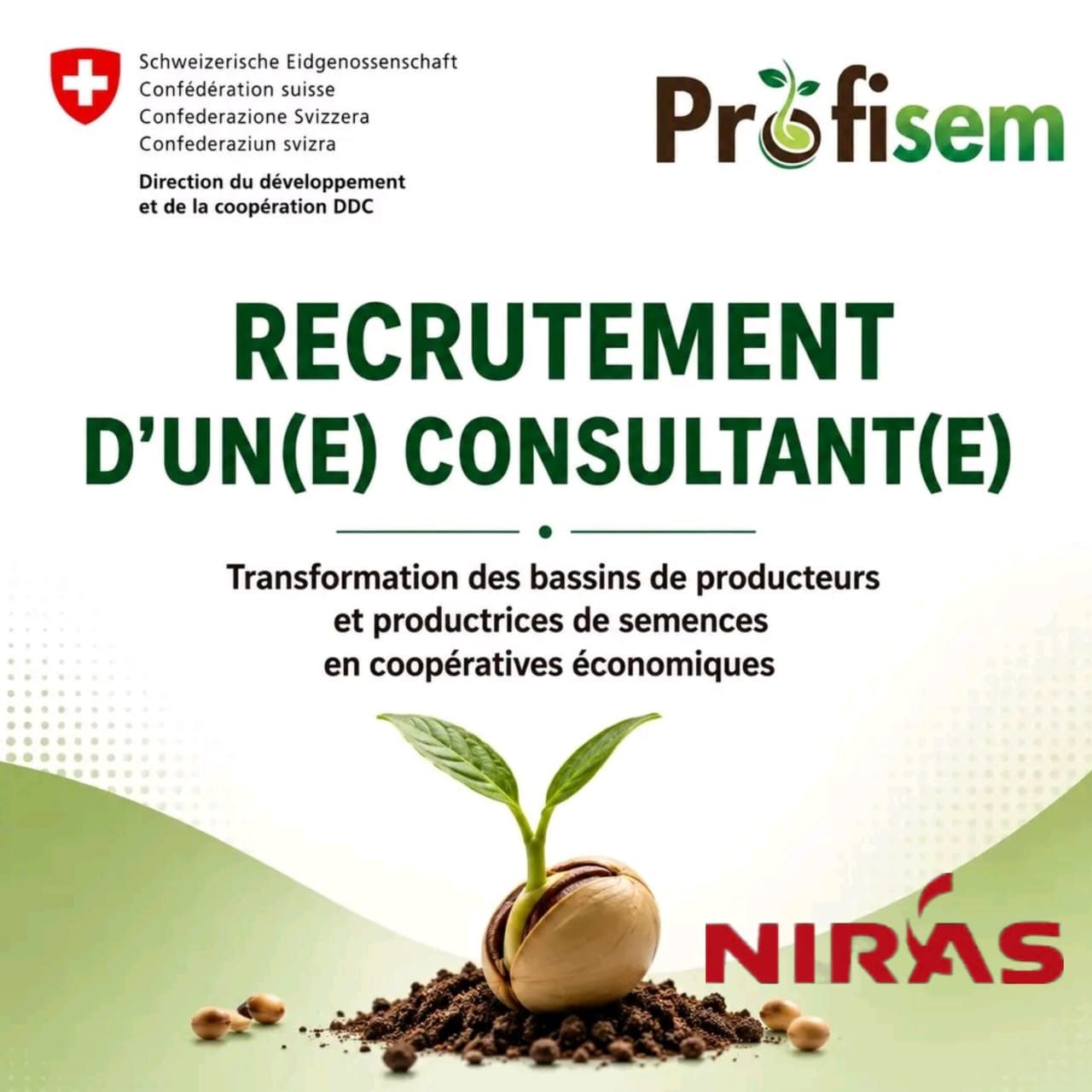 PROFISEM lance un appel à candidatures pour le recrutement d&rsquo;un(e) Consultant(e) pour appuyer la transformation, des bassins de producteurs et productrices de semences en coopératives économiques, Batha, Logone Oriental, Mandoul, Moyen Chari et Wadi Fira, Tchad