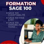 Le Cabinet de Conseils CEFOREP SARL, en partenariat avec le Centre International CIFOPMAPE, organise une certification professionnelle en SAGE SAARI (PAIE, RH & COMPTABILITE), N&rsquo;Djamena, Tchad