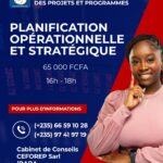 Le Cabinet CEFOREP SARL organise une formation en Planification Opérationnelle et Stratégique, N&rsquo;Djamena, Tchad